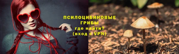 PSILOCYBIN Зеленокумск