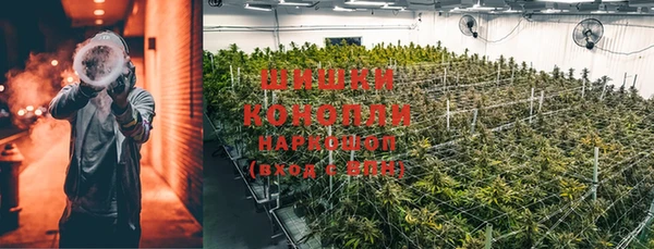 PSILOCYBIN Зеленокумск