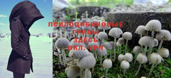 PSILOCYBIN Зеленокумск