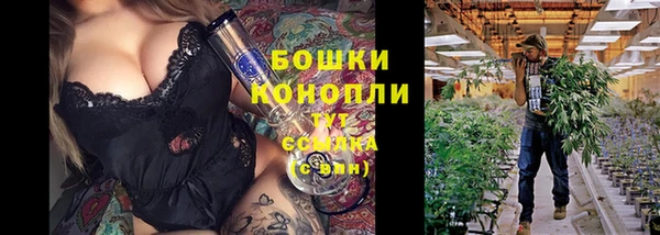 PSILOCYBIN Зеленокумск