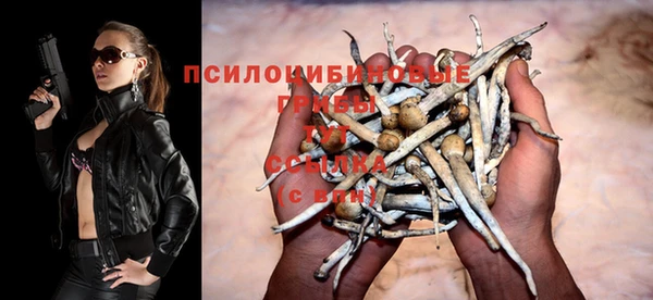 соль ск Иннополис